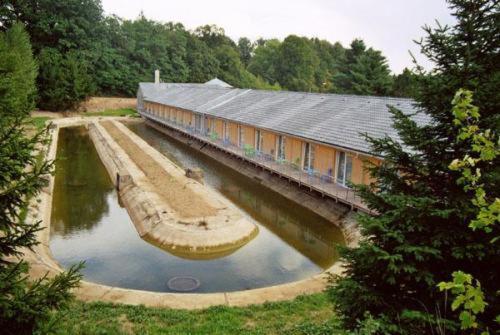 Motel Дачице Екстер'єр фото